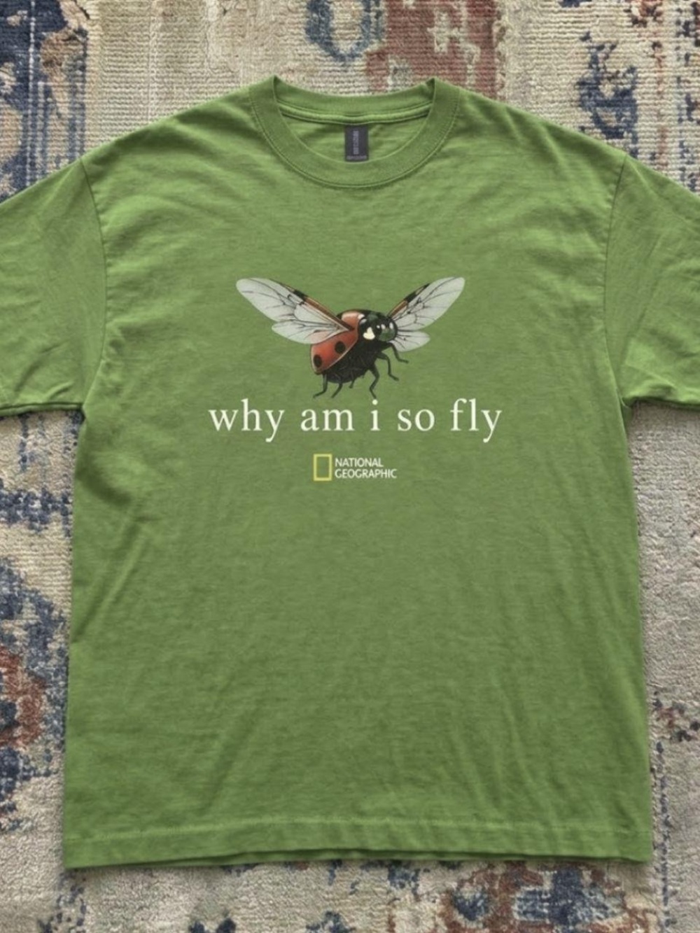 Gildan Kiwi Ladybug “Why am I so fly” Graphic Tee